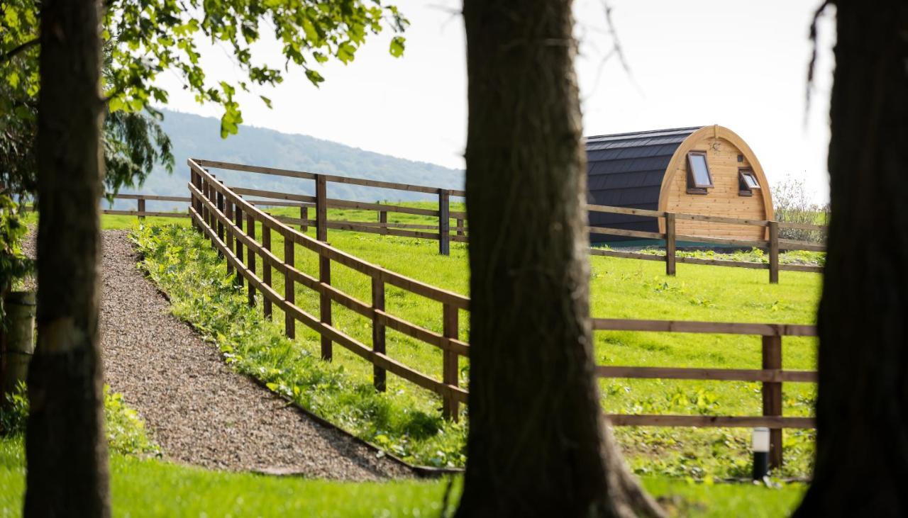 Luxury Two-Bed Glamping Pod In County Clare 2 Vila Kilbane Exterior foto