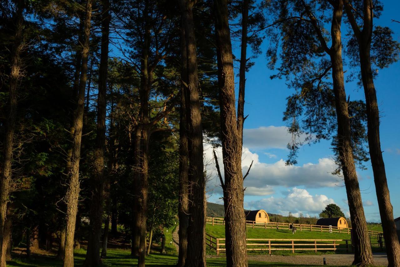Luxury Two-Bed Glamping Pod In County Clare 2 Vila Kilbane Exterior foto